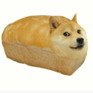 Meet your Posher, Karas